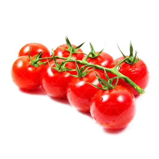  عکس گوجه گیلاسی